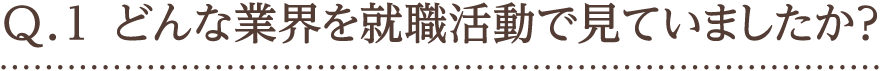 Q.1 どんな業界を就職活動で見ていましたか？