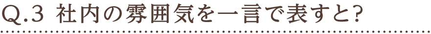 Q.3 社内の雰囲気を一言で表すと？